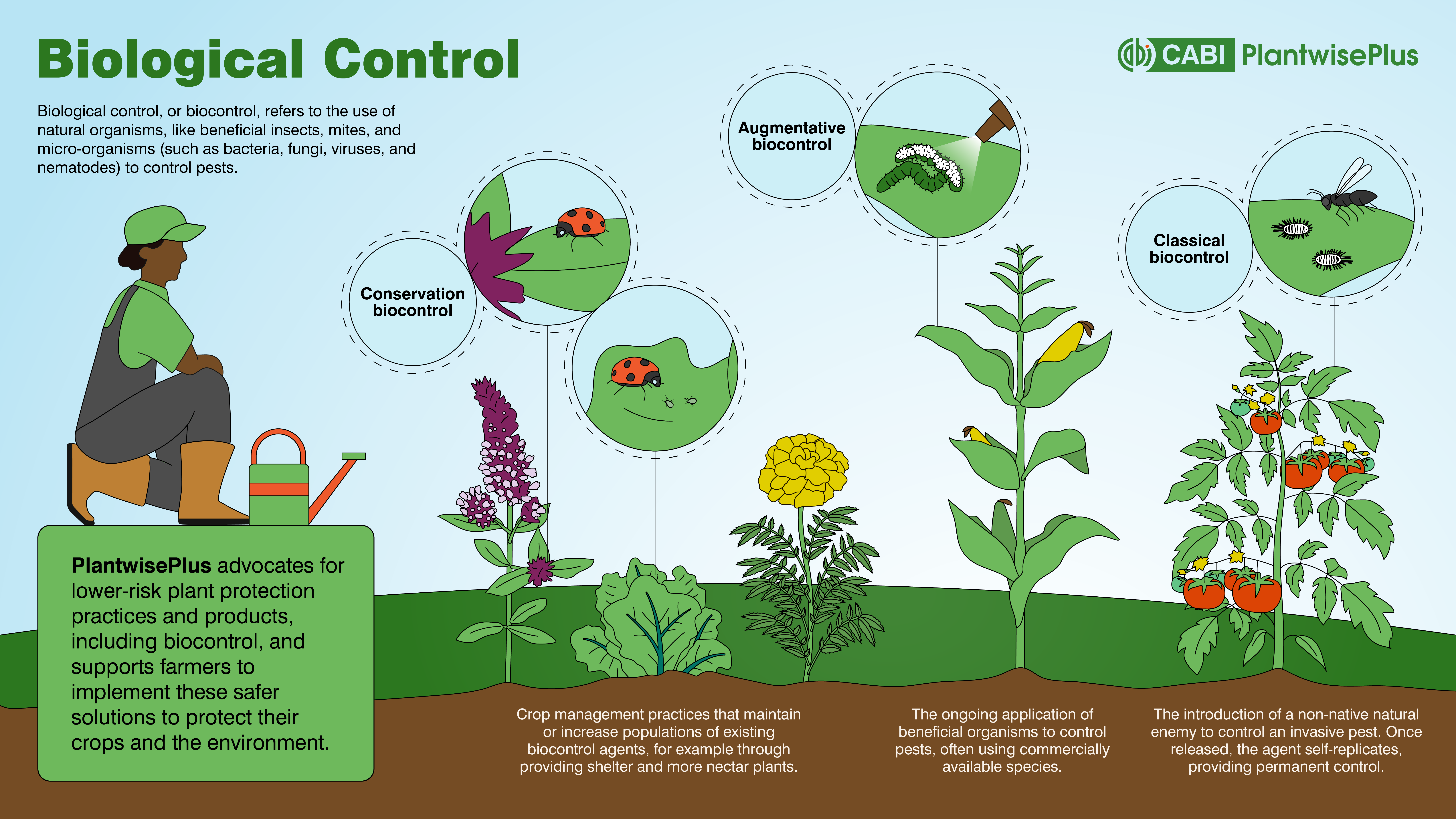 اینفوگرافیک مزایای PlantControl در بهبود عملکرد کارخانه