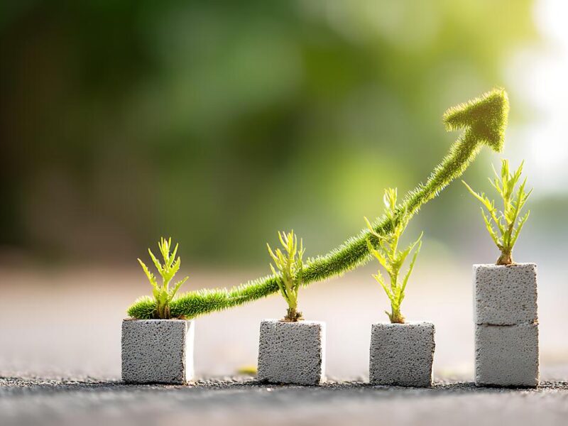 طرح‌های اقتصادی بزرگ Growth