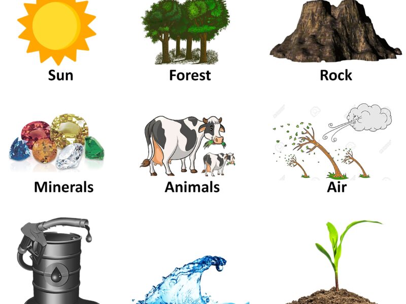 طرح‌های توسعه منابع صنعتی Resources