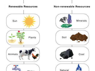 آموزش مدیریت منابع صنعتی Resources