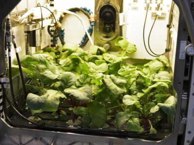 راهنمای طراحی کارخانه پیشرفته AdvancedPlant