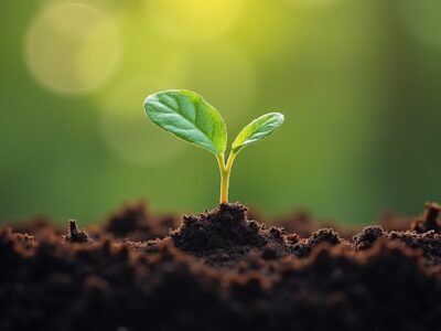 مقالات فناوری های نوین صنعتی Emerging